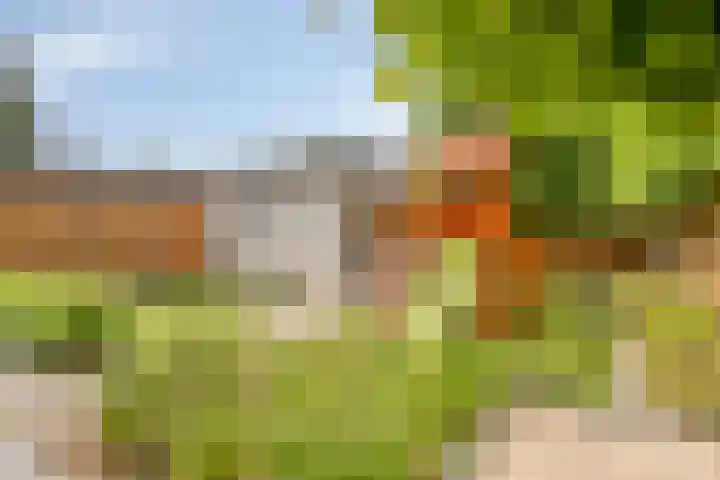 van Mellincrodestraat 32 Oirschot thumbnail 36