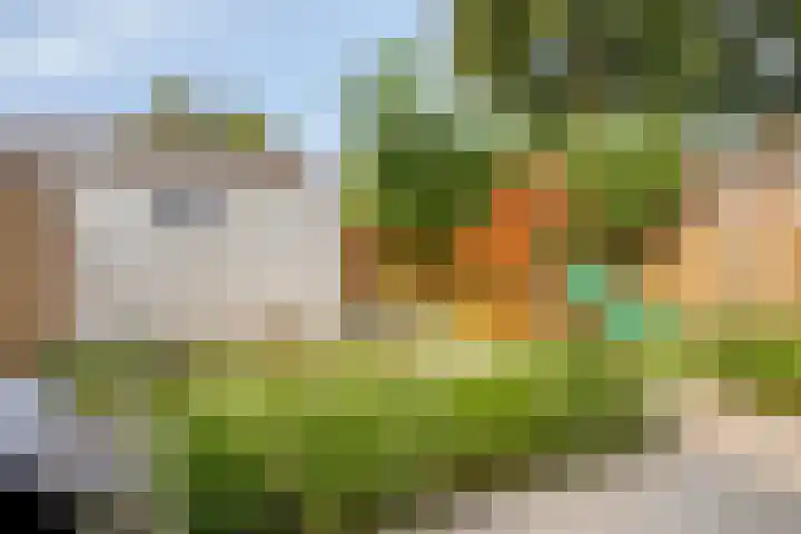van Mellincrodestraat 32 Oirschot thumbnail 41