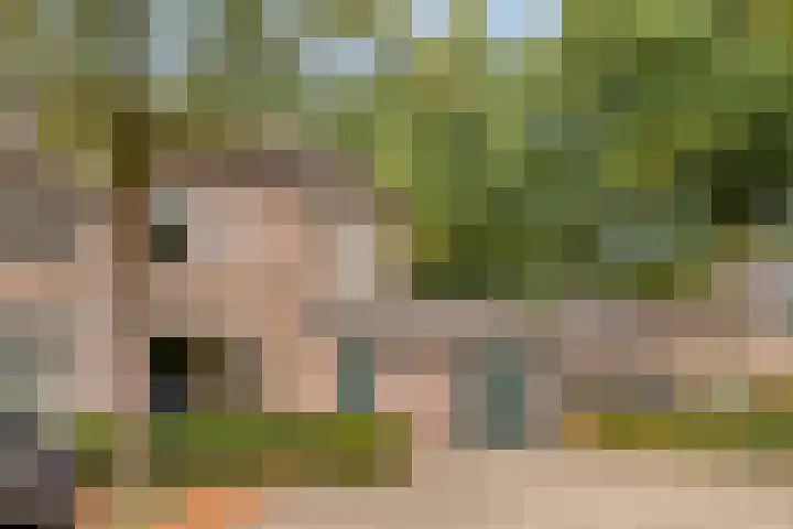 van Mellincrodestraat 32 Oirschot thumbnail 42