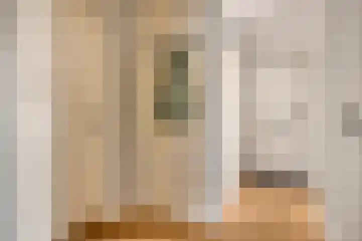 van Mellincrodestraat 32 Oirschot thumbnail 7