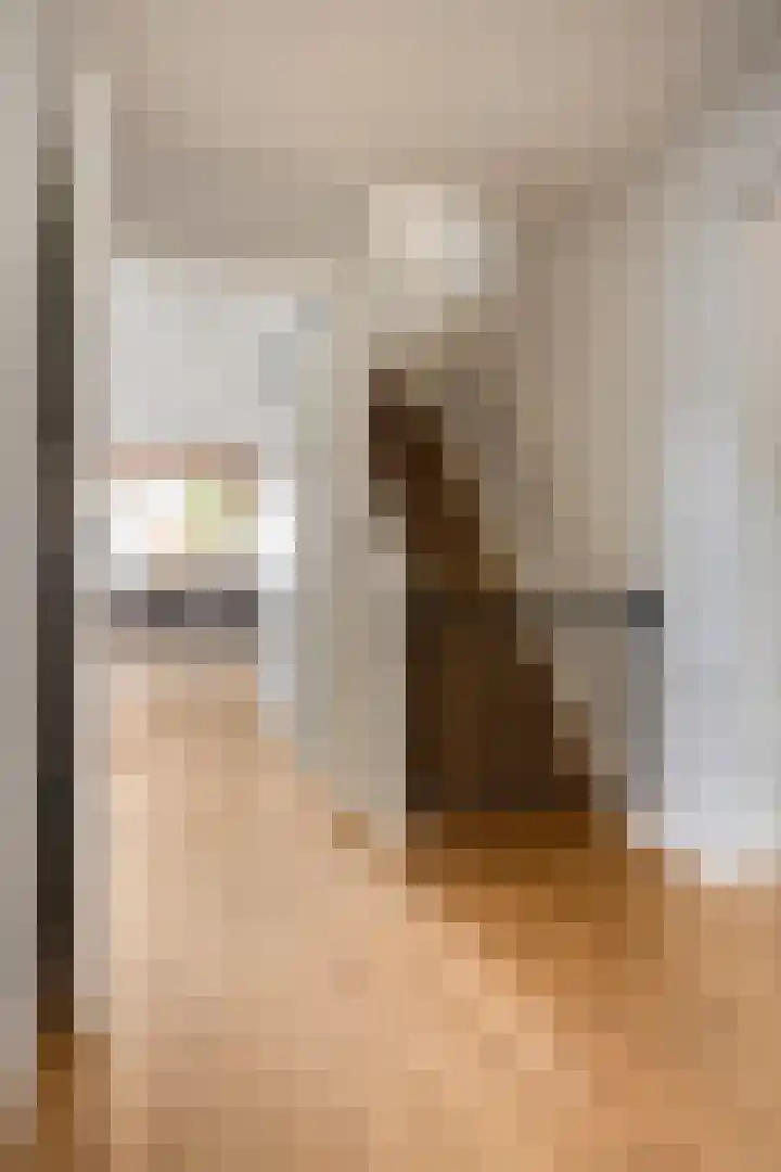 van Mellincrodestraat 32 Oirschot thumbnail 8