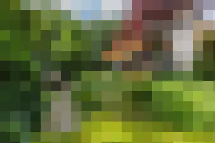 van Mentadalaan 21 Rolde thumbnail 10