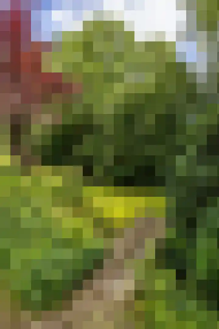 van Mentadalaan 21 Rolde thumbnail 11
