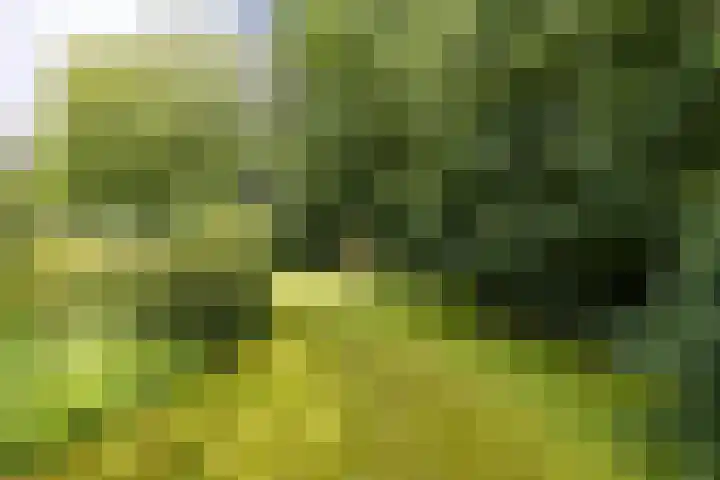 van Mentadalaan 21 Rolde thumbnail 12