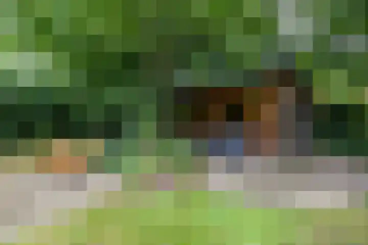 van Mentadalaan 21 Rolde thumbnail 13