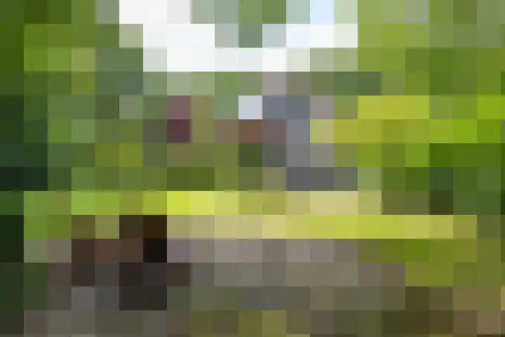 van Mentadalaan 21 Rolde thumbnail 14