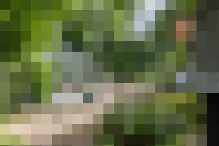 van Mentadalaan 21 Rolde thumbnail 15