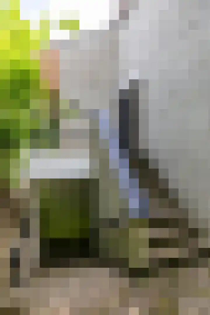 van Mentadalaan 21 Rolde thumbnail 16