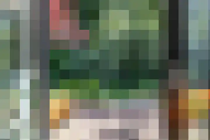 van Mentadalaan 21 Rolde thumbnail 21
