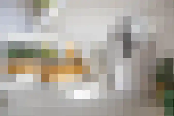 van Mentadalaan 21 Rolde thumbnail 22