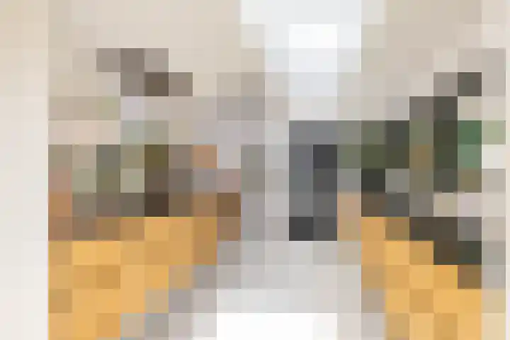 van Mentadalaan 21 Rolde thumbnail 25