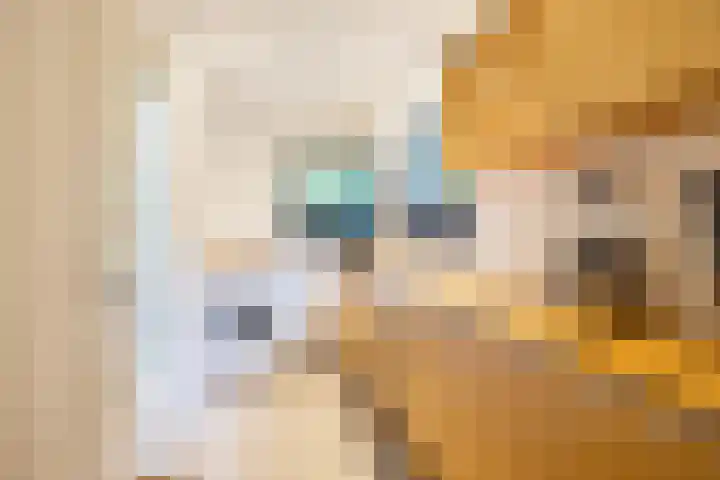 van Mentadalaan 21 Rolde thumbnail 31