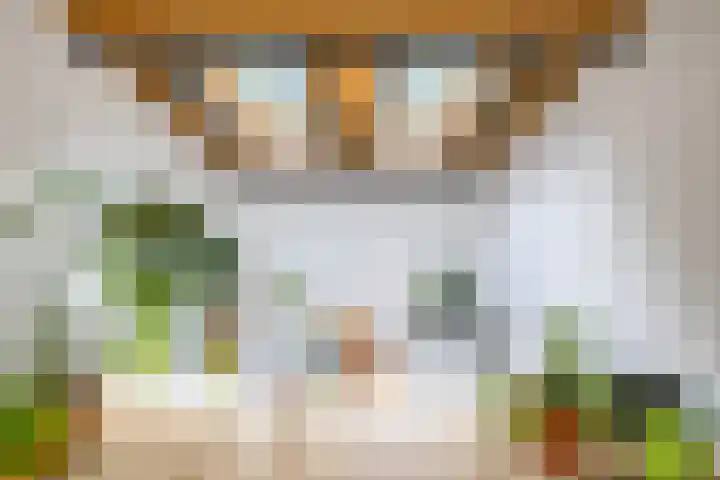 van Mentadalaan 21 Rolde thumbnail 37
