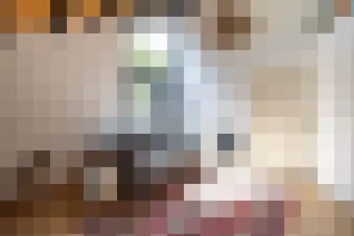 van Mentadalaan 21 Rolde thumbnail 39