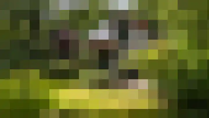 van Mentadalaan 21 Rolde thumbnail 4