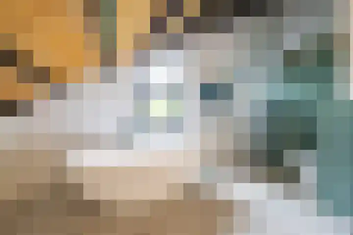 van Mentadalaan 21 Rolde thumbnail 41