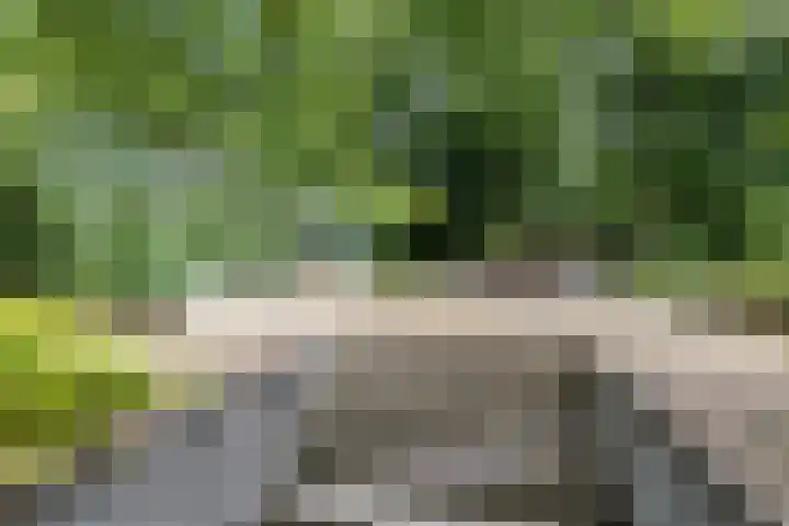 van Mentadalaan 21 Rolde thumbnail 49