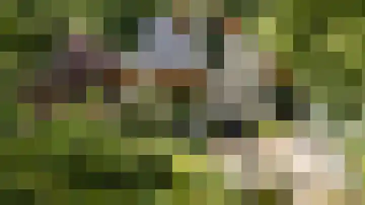van Mentadalaan 21 Rolde thumbnail 5