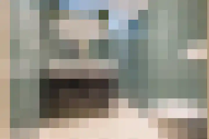 van Mentadalaan 21 Rolde thumbnail 52