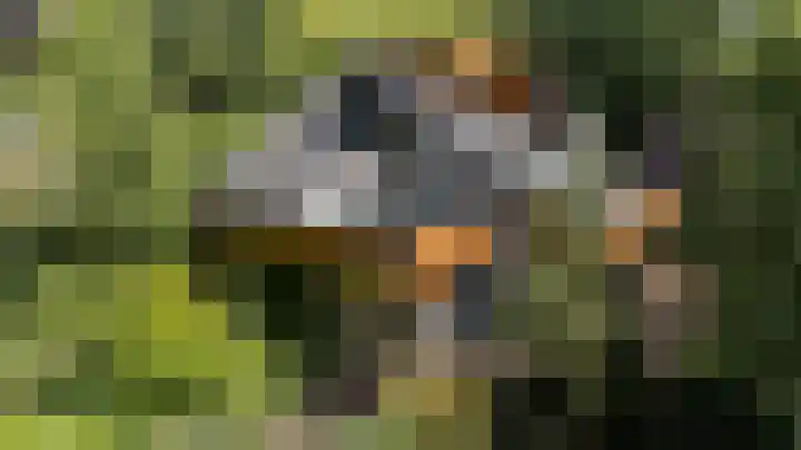 van Mentadalaan 21 Rolde thumbnail 6