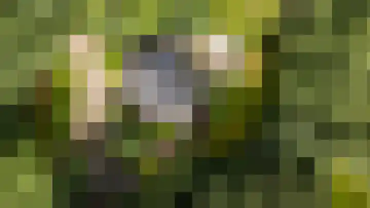 van Mentadalaan 21 Rolde thumbnail 7