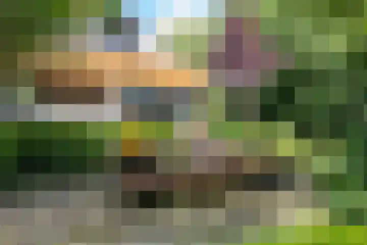 van Mentadalaan 21 Rolde thumbnail 8