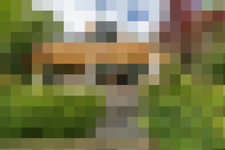 van Mentadalaan 21 Rolde thumbnail 9