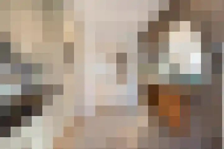 Van Mereheymstraat 10 Herten thumbnail 13