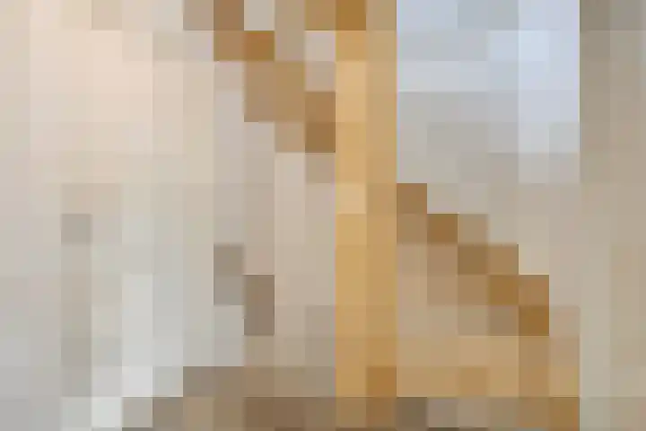 Van Mereheymstraat 10 Herten thumbnail 14