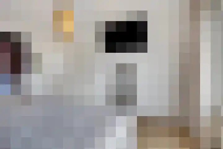 Van Mereheymstraat 10 Herten thumbnail 16