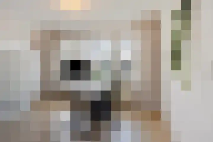 Van Mereheymstraat 10 Herten thumbnail 17