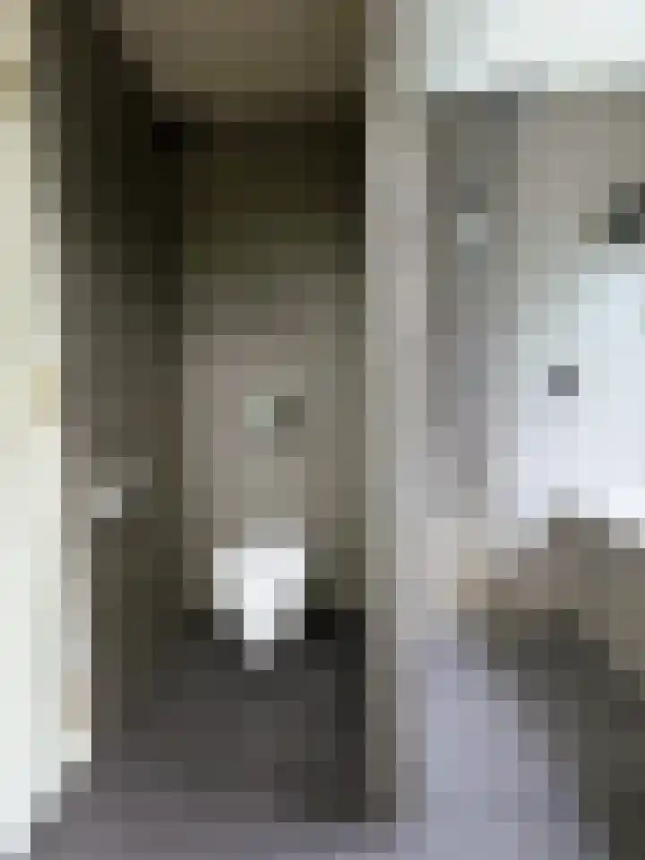 Van Mereheymstraat 10 Herten thumbnail 21