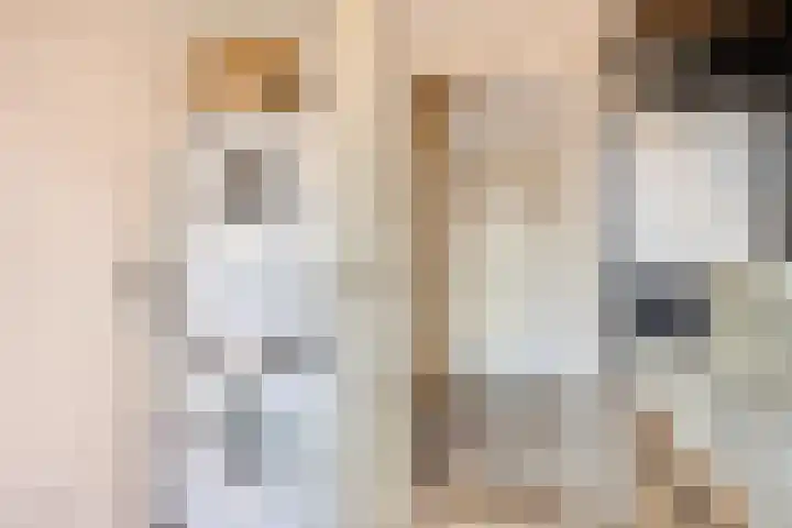 Van Mereheymstraat 10 Herten thumbnail 23