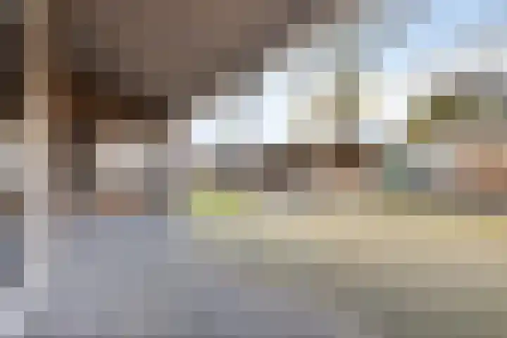 Van Mereheymstraat 10 Herten thumbnail 29
