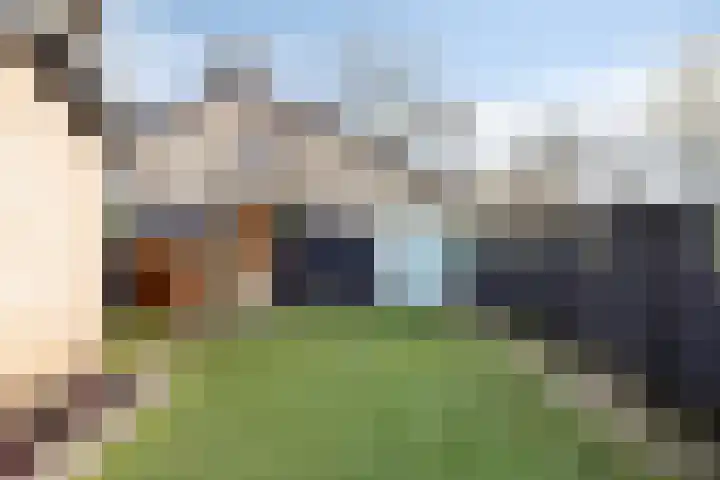 Van Mereheymstraat 10 Herten thumbnail 31