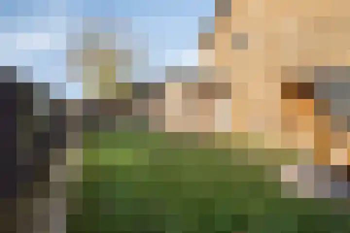 Van Mereheymstraat 10 Herten thumbnail 33
