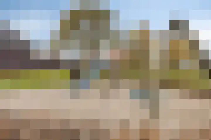 Van Mereheymstraat 10 Herten thumbnail 37