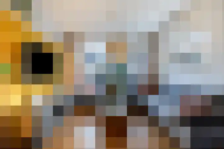 Van Mereheymstraat 10 Herten thumbnail 7