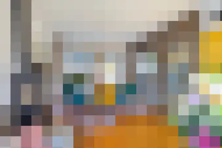 Van Mereheymstraat 10 Herten thumbnail 9