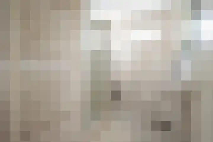 Van Mereheymstraat 31 Herten thumbnail 17
