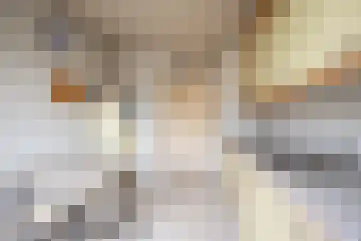 Van Mereheymstraat 31 Herten thumbnail 8