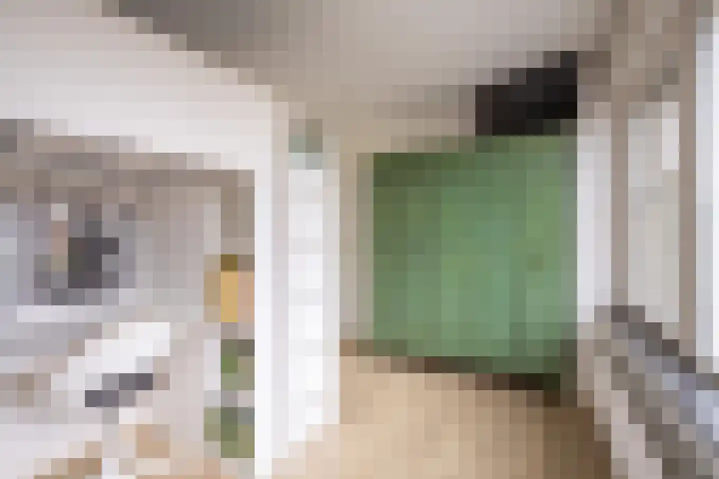 Van Mereheymstraat 40 Herten thumbnail 16
