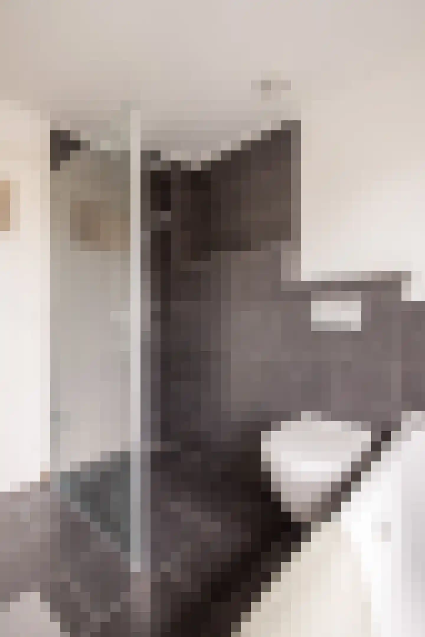 Van Mereheymstraat 40 Herten thumbnail 19