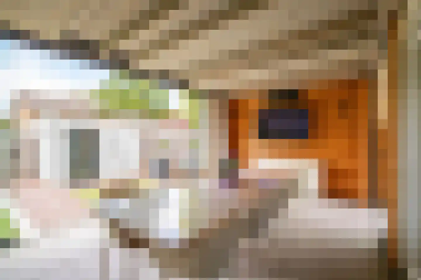 Van Mereheymstraat 40 Herten thumbnail 23