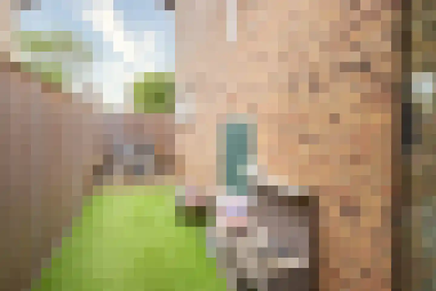 Van Mereheymstraat 40 Herten thumbnail 28