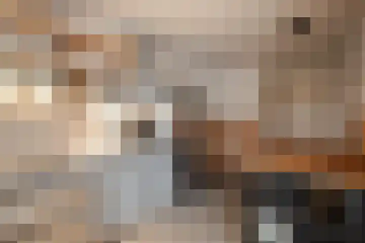 Van Mereheymstraat 6 Herten thumbnail 11