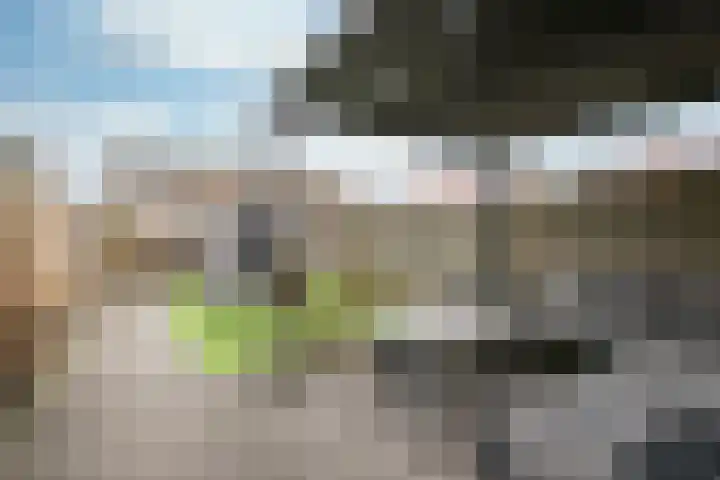 Van Mereheymstraat 6 Herten thumbnail 23
