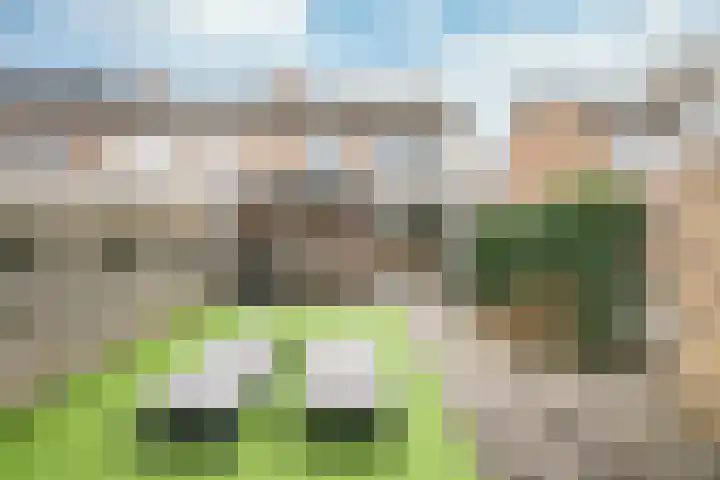 Van Mereheymstraat 6 Herten thumbnail 25