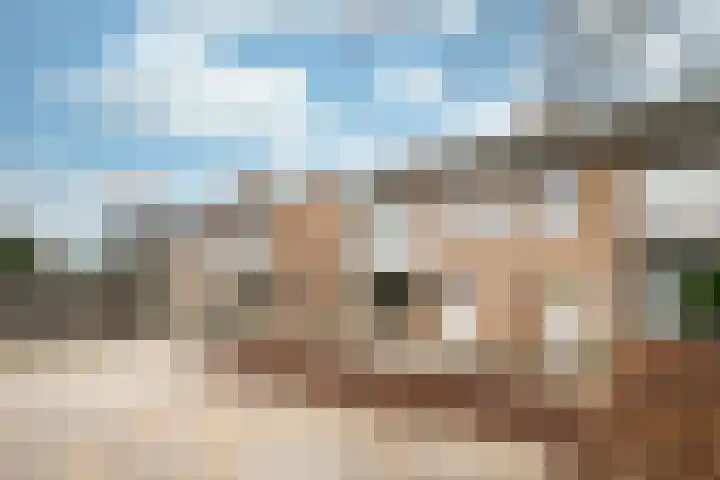 Van Mereheymstraat 6 Herten thumbnail 28