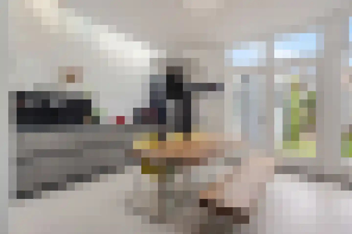 van Merheimstraat 16 Boxtel thumbnail 6